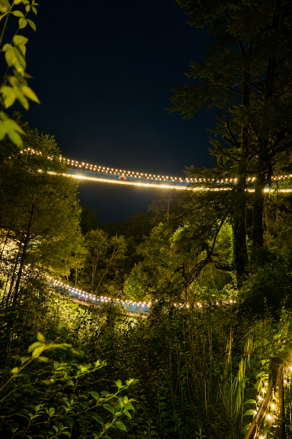 Puentes Iluminados · fotografía 1