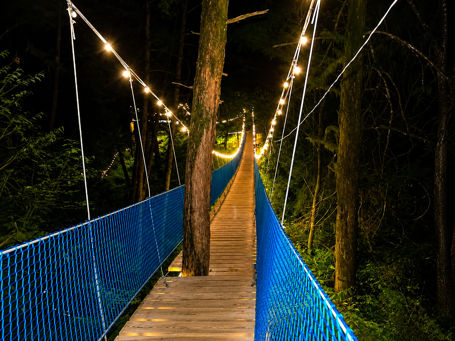 Puentes Iluminados · fotografía 2