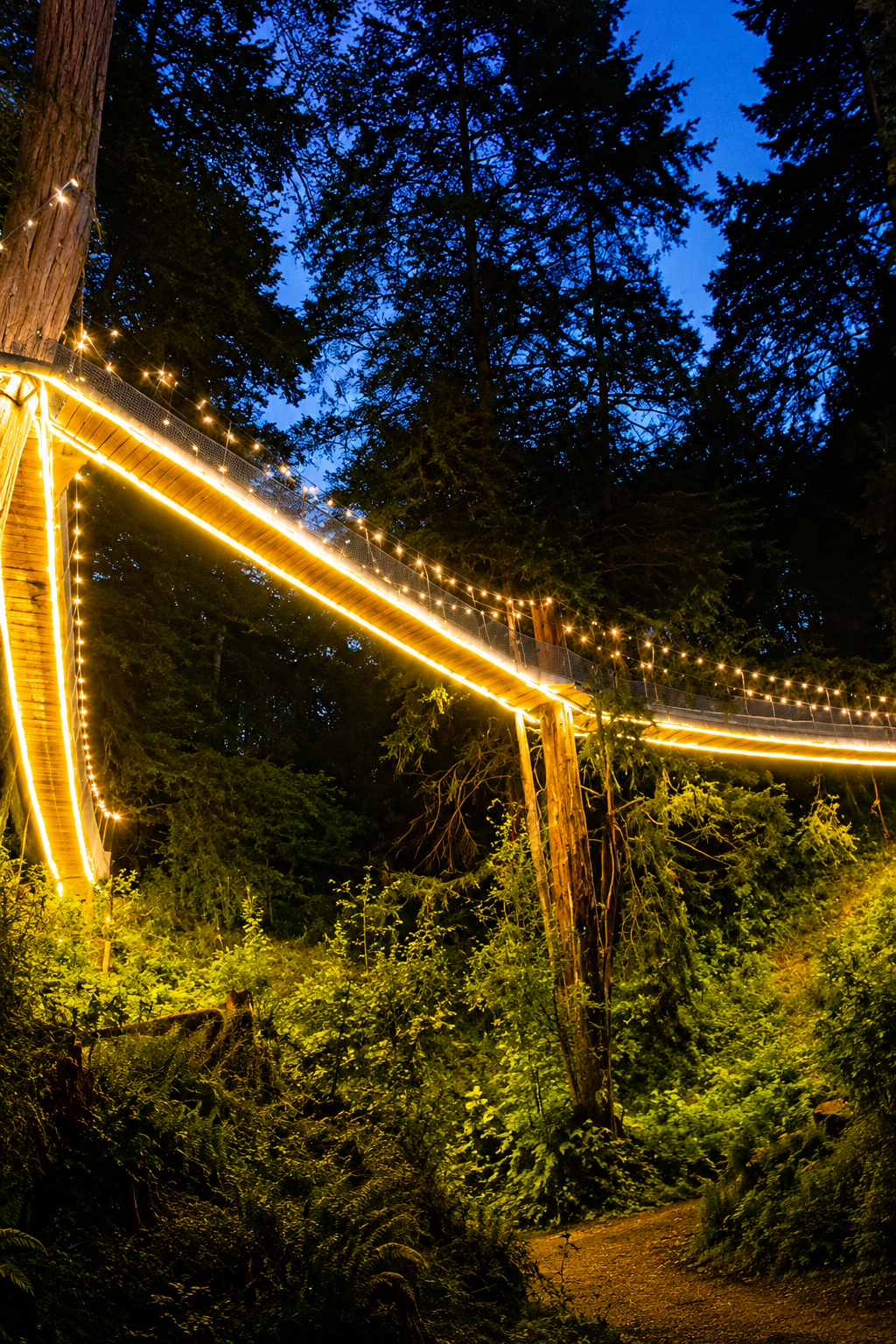 Puentes Iluminados · fotografía 3