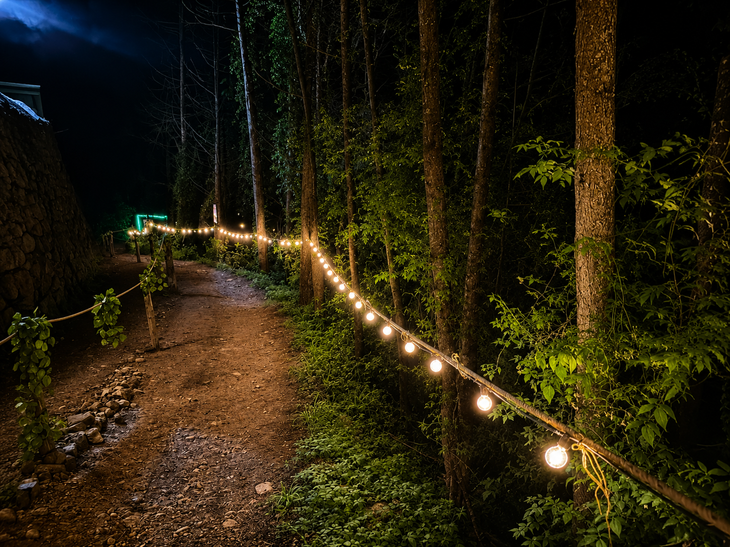 Puentes Iluminados · fotografía 8